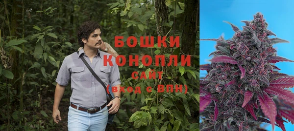spice Алексеевка